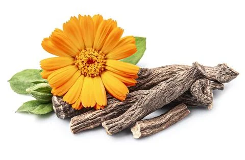 Calendula root with calednula flower Stock Photos