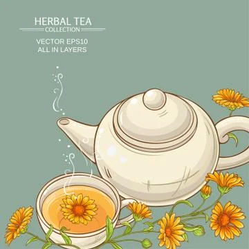 Calendula tea  vector background Illustrazione stock