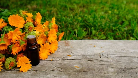 Calendula tincture and supplements. Selective focus. Stock Footage 314771890