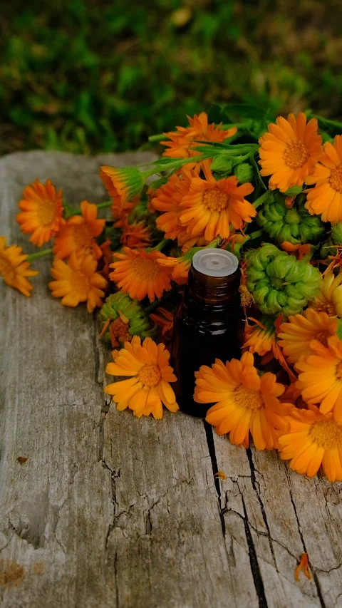Calendula tincture and supplements. Selective focus. Stock Footage 315932248