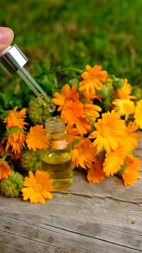 Calendula tincture and supplements. Selective focus. Stock Footage 316585124