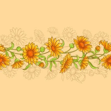 Calendula vector seamless pattern Stock Illustration
