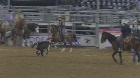 Calf-Catching Event at a Rodeo 2 Vidéo 48216430