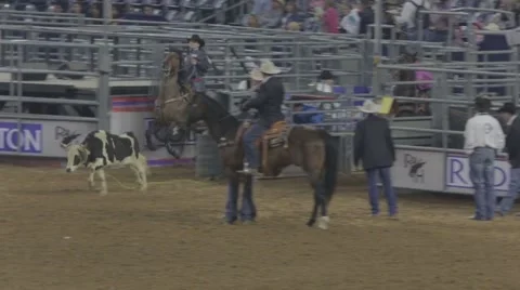 Calf-Catching Event at a Rodeo 3 Video stock 48216559