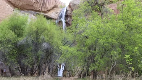 Calf Creek falls Stock-Footage 229649324