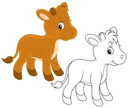 Calf Stock Illustration