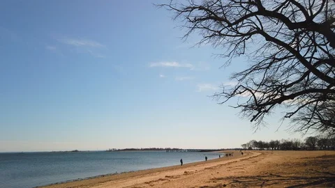 Calf Pasture Beach on Spring Day Stock Footage 127652753