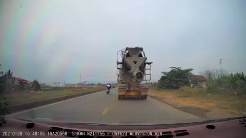 Calf Picks Wrong Time to Cross Road, Phu Tho, Vietnam - 28 Jan 2021 Stock Footage 205330440