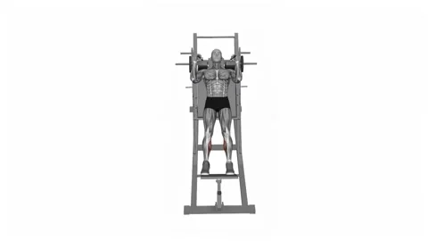 Calf raise on hack squat machine fitness exercise workout animation video ma Stockbeeldmateriaal 258821573