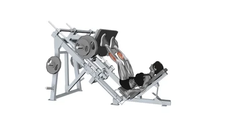 Calf raise leg press machine Female fitness exercise workout animation video 動画素材 258821472