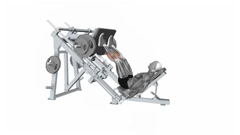 Calf raise leg press machine fitness exercise workout animation video male m Video stock 258821572