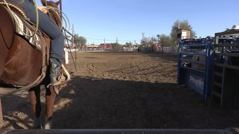 Calf Roping 3 Stock Footage 94396517