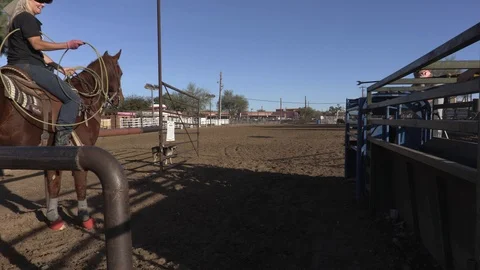 Calf Roping 4 Stock Footage 94396511