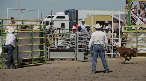 Calf Roping Stock Footage 21198471