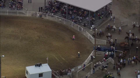 Calf Roping Stock Footage 65436647