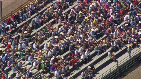 Calf Roping Stock Footage 65438029