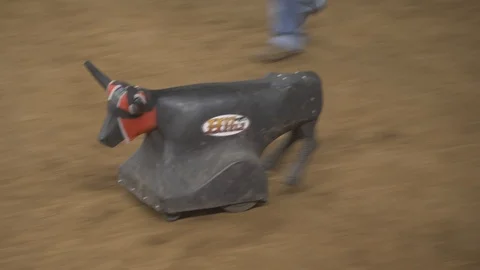 Calf-roping practice for the rodeo - three clips 4K Видео 101074691