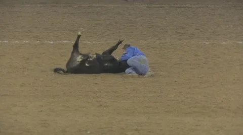 Calf Wrestle Event at a Rodeo 2 Vidéo 48242438