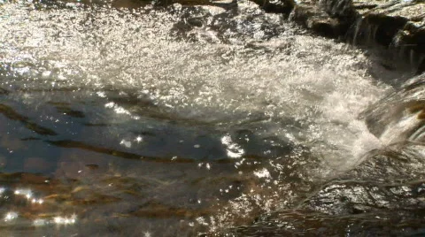 Calfcreek 2 Stock Footage 117150