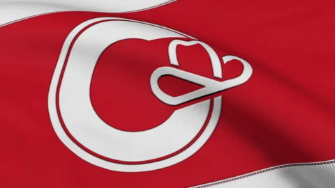 Calgary City Flag Loop Stock Footage 241226248
