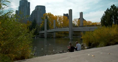 Calgary downtown buildings in the fall Stock Footage 43248257