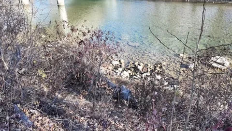 Calgary in the fall Video stock 328368582