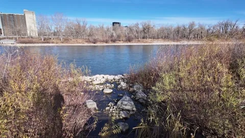 Calgary in the fall Stock Footage 328369463