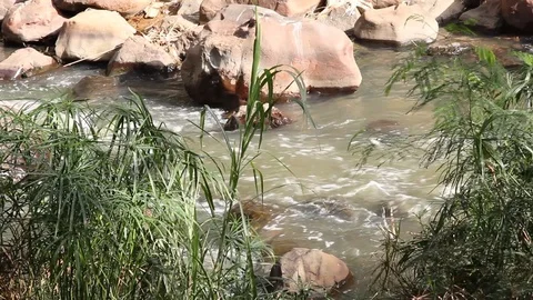 Cali river with rocks and moving water in Colombia; South America 2 Stock Footage 88481806