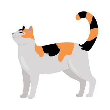 Calico Cat Vector Flat Design Illustration Stock Illustration