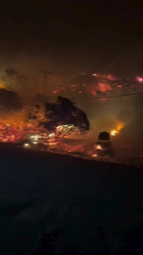 California 2 Stock Footage 299674995