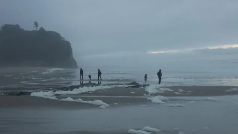 California beach 12 Stock Footage 229751538