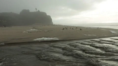 California beach 2 Stock Footage 229751328