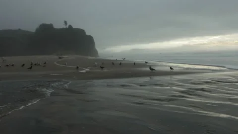 California beach 7 Видео 229751418