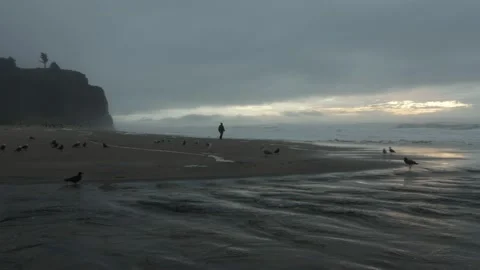California beach 8 Stock Footage 229751445