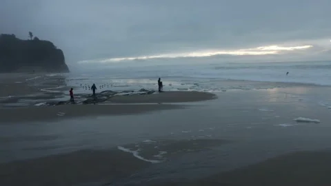 California beach 9 Stock Footage 229751460