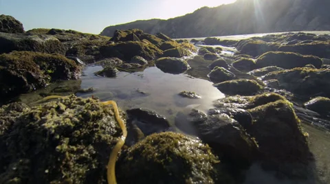 California beach close up 스톡 동영상 37994879