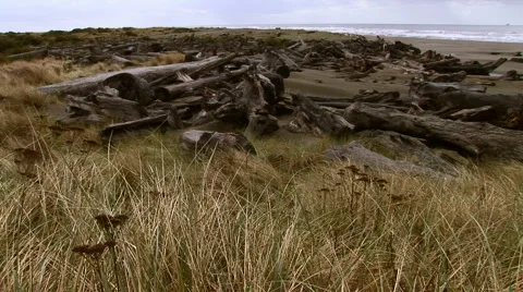 California beach Video stock 931514