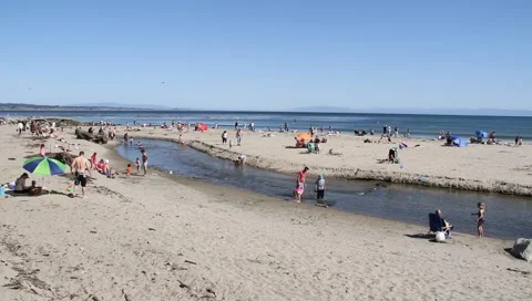 California Beach Stock Footage