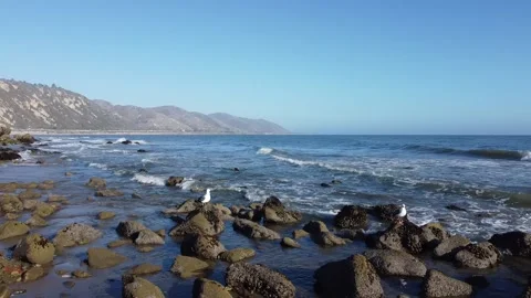 California Beach Stock Footage 160643657