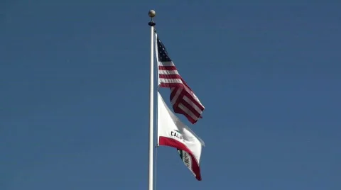 California bear flag, Stock Footage