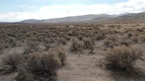 California Central Valley Shrubalnd Desert Dry Arid Landscape Stock Footage
