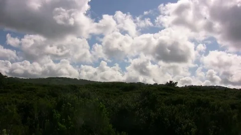 California Chaparral Timelapse 库存影片 82368570