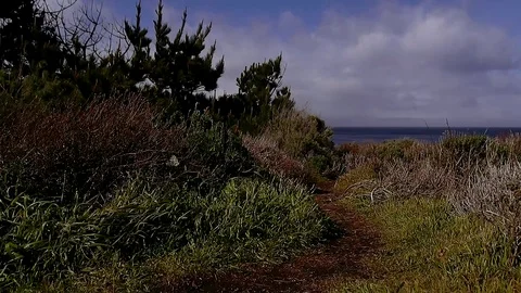 California Coast 库存影片 103911535