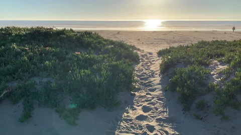 California Coast Stock Footage 337269812