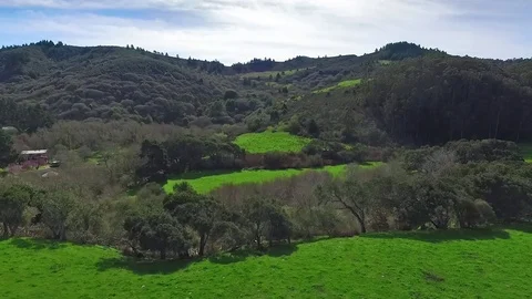 California Coast hills, green with rain Stock Footage