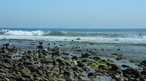 California Coast Line Stock Footage 31867018