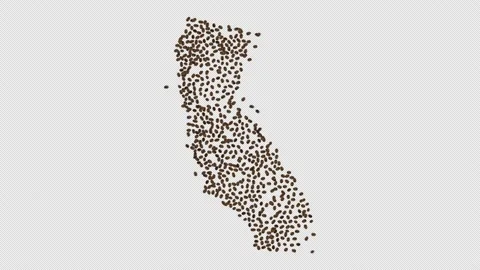 California Coffee Beans Stock Footage 146817799