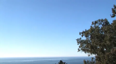 California Condor 스톡 동영상 37586454