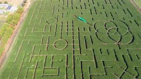 California Corn Maze Stock Footage 249683169