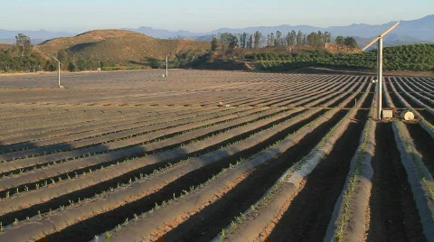 California Crops 库存影片 792741